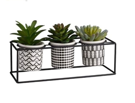 Artificial Succulent Plants Set of 3 in Ceramic Pots on Black Pot Stand ...