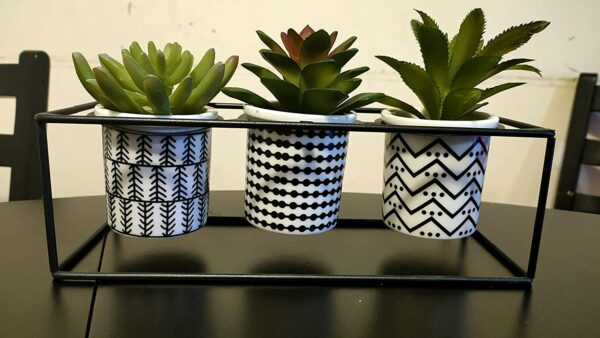 Artificial Succulent Plants Set of 3 in Ceramic Pots on Black Pot Stand - Image 2