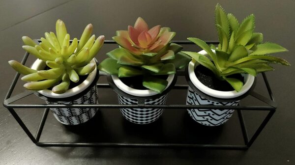 Artificial Succulent Plants Set of 3 in Ceramic Pots on Black Pot Stand - Image 3