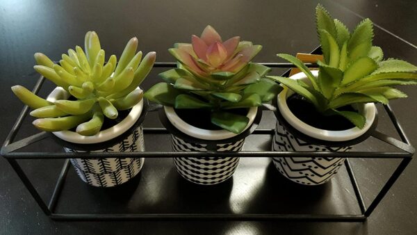 Artificial Succulent Plants Set of 3 in Ceramic Pots on Black Pot Stand - Image 4