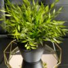 Geometric Gold Circle Round Crystal Mirror Tray Decorative Metal Table Centerpiece 26cm - Image 3