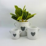 Heart plant pot