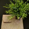 Decore Items Which Have Amazing Impact