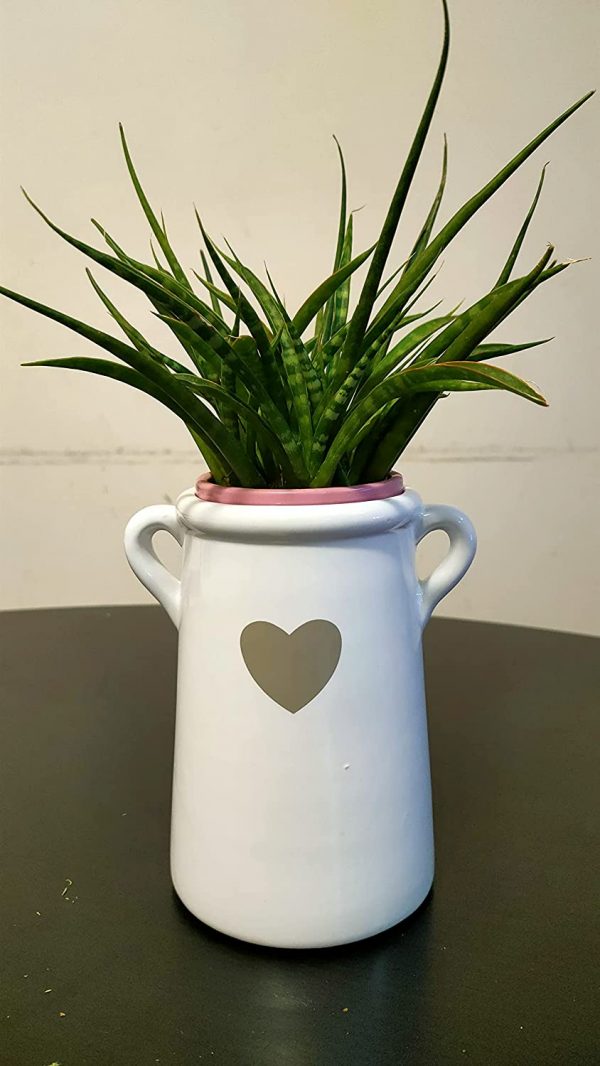EagleWiz White Ceramic Planter Pot / vase attractive Heart shape with Handles 14cm
