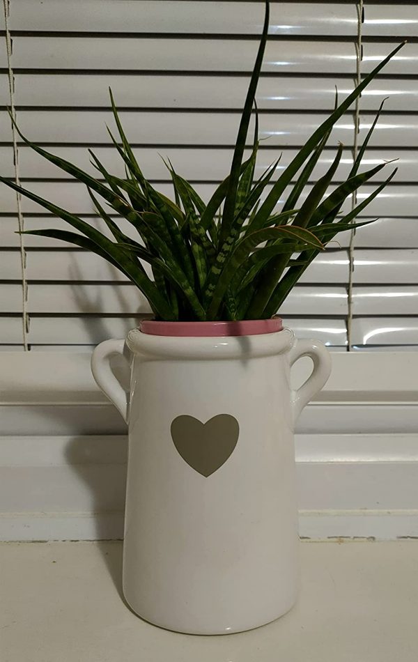EagleWiz White Ceramic Planter Pot / vase attractive Heart shape with Handles 14cm - Image 5