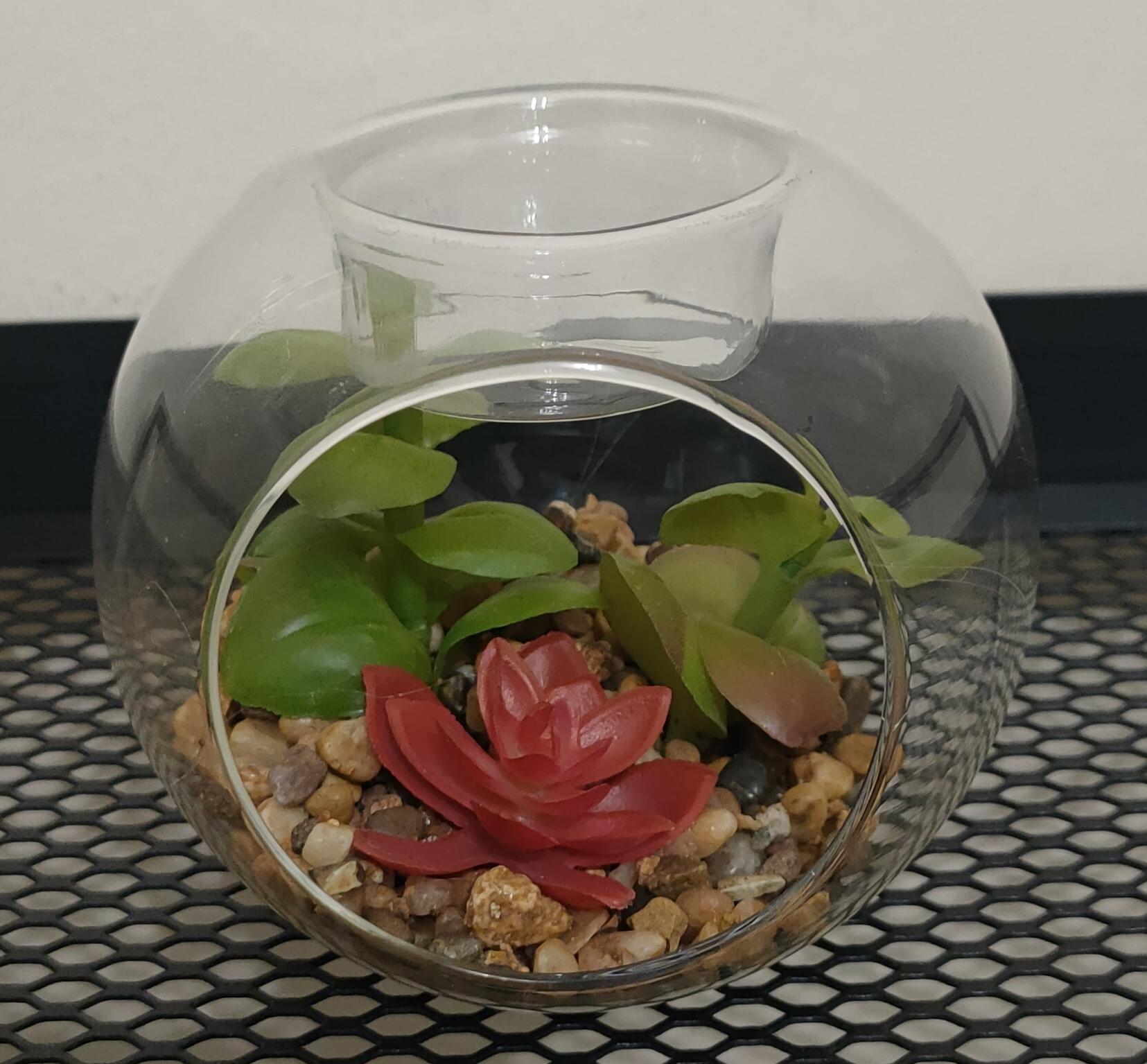 Glass succulents tealight2