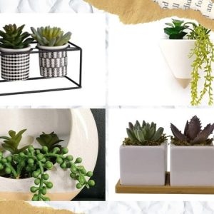 Artificial Succulents