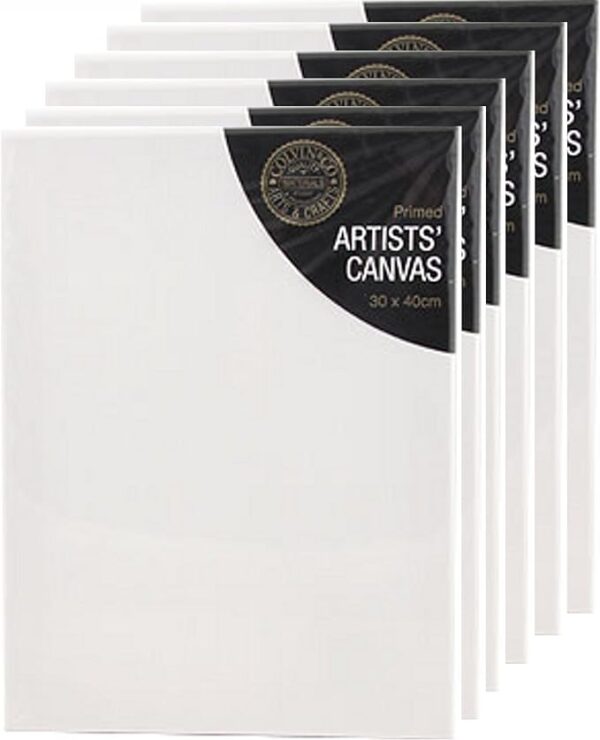 Artist Painting Canvas 's (Pack of 6) 30 x 40 x 1.7cm (16" x 12")